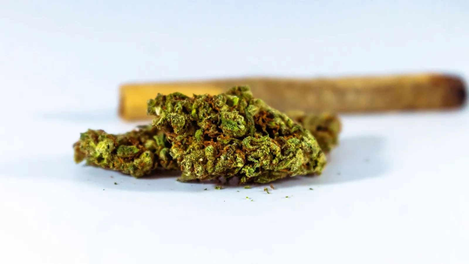 Green cannabis flower buds on a white surface, with a rolled blunt out of focus behind them