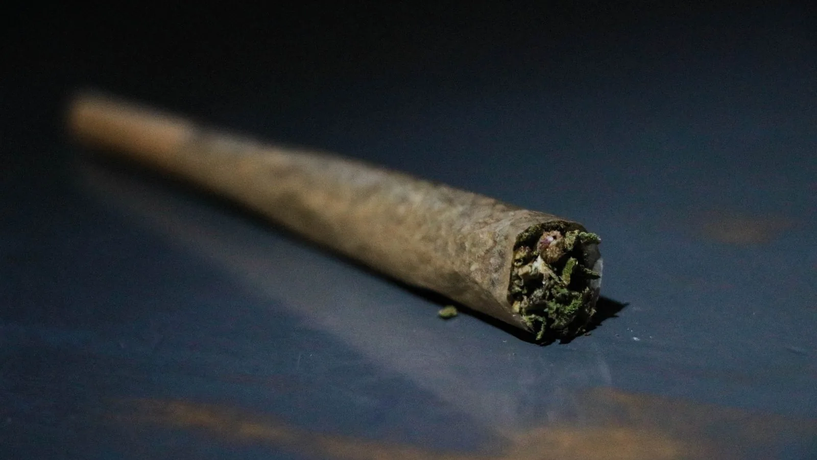 A rolled cannabis blunt lying on a dark blue table, its open end showing ground green flower