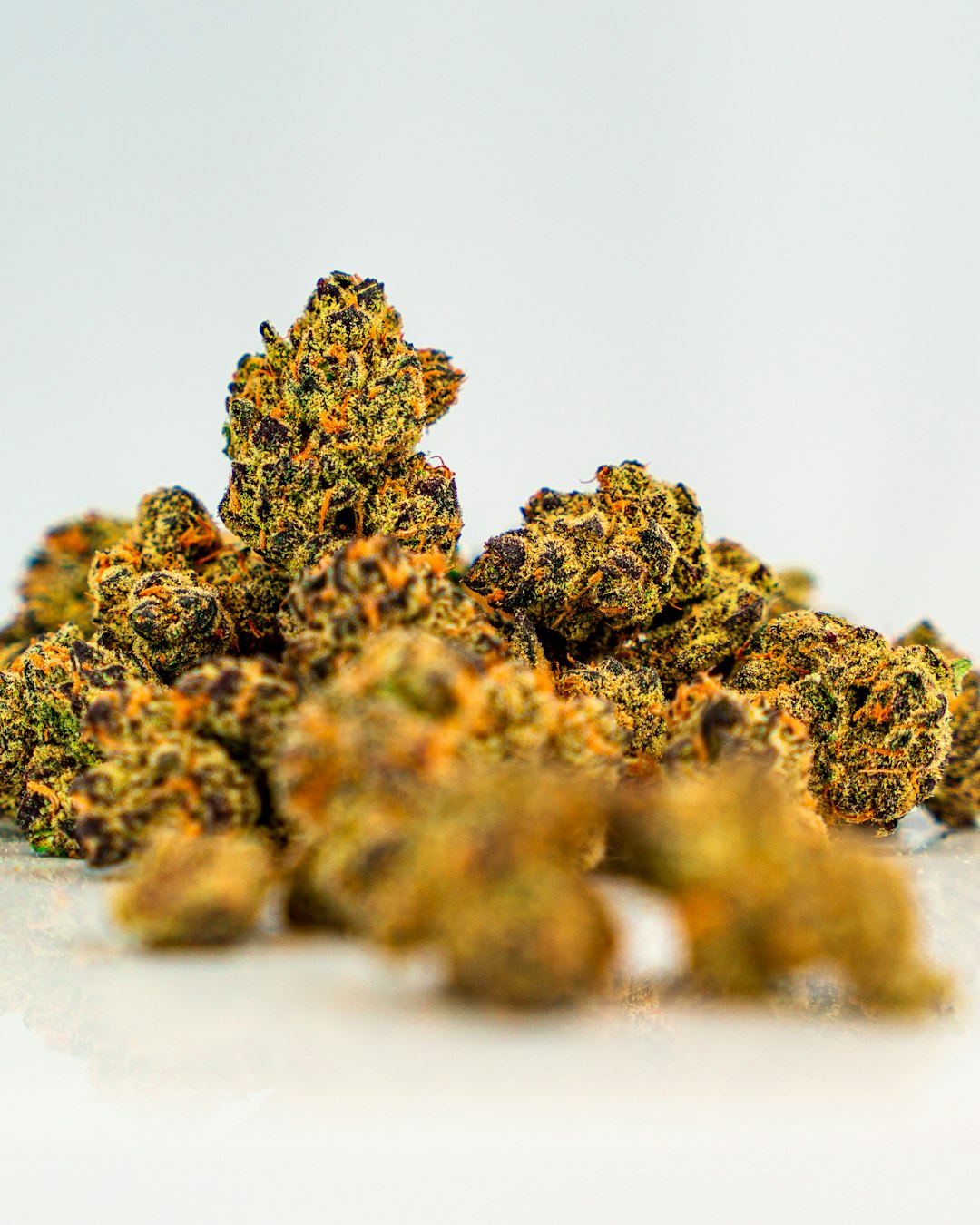 OG Kush cannabis strain — dense lime-green buds with heavy trichome coverage