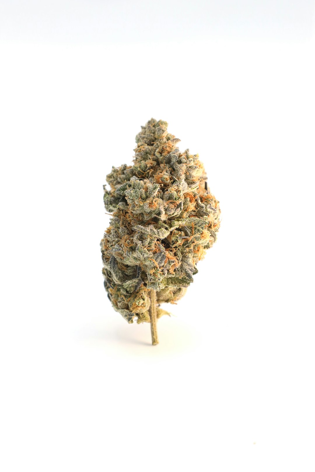 Sour Diesel cannabis strain — light green fluffy buds
